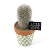 Cactus kunstplantje met potje