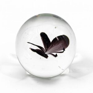 Vlinder in glas Paars(8x8x8cm)