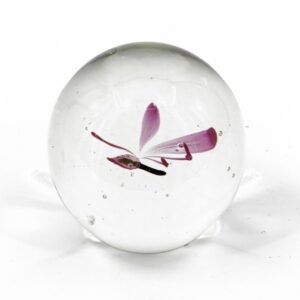 Vlinder in glas Roze(8x8x8cm)