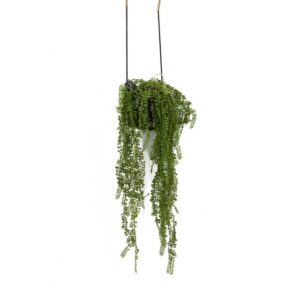 kunsthangplant Airplant groen(85cm)