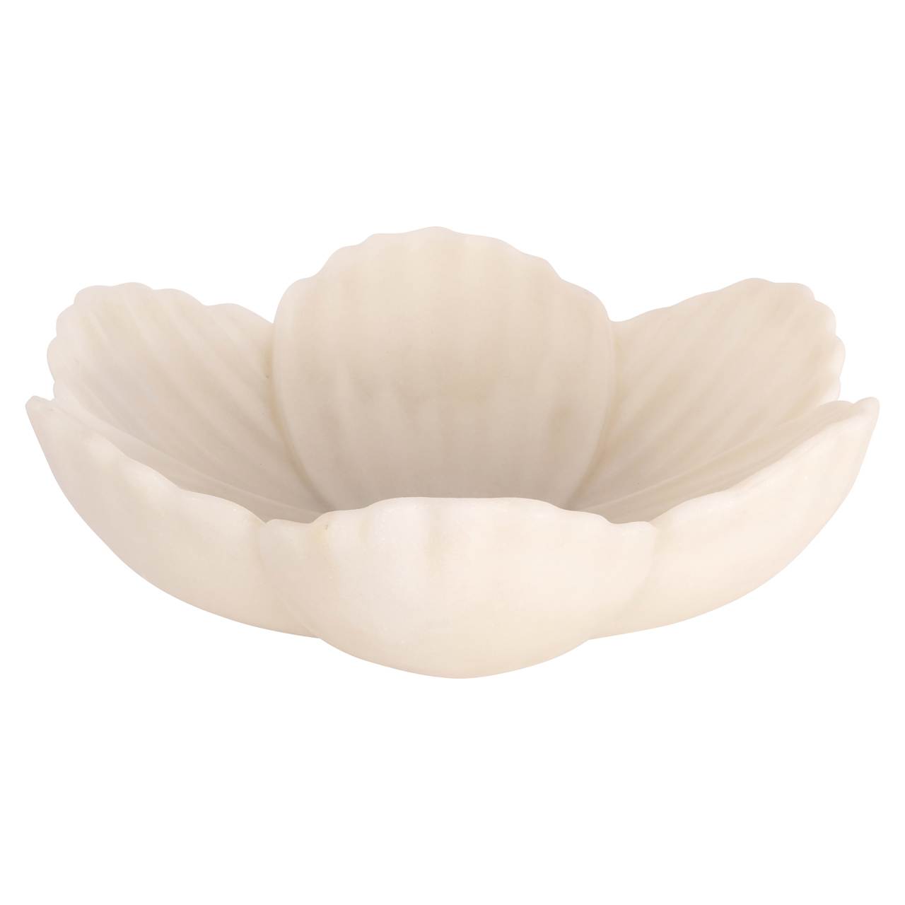 Schaal Xena white S