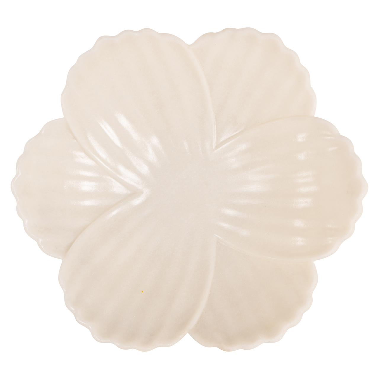 Schaal Xena white S - Afbeelding 2