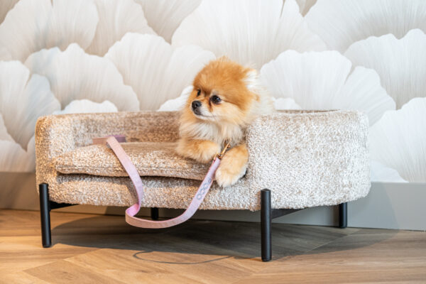 Hondenbed Dolly beige blockweave
