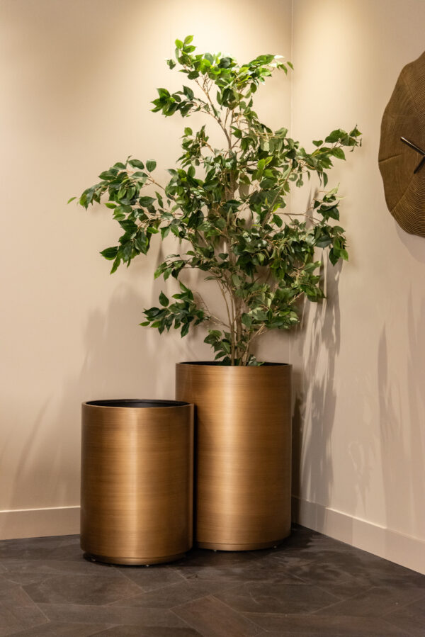 Plantenbak Dira brushed gold 45Ø