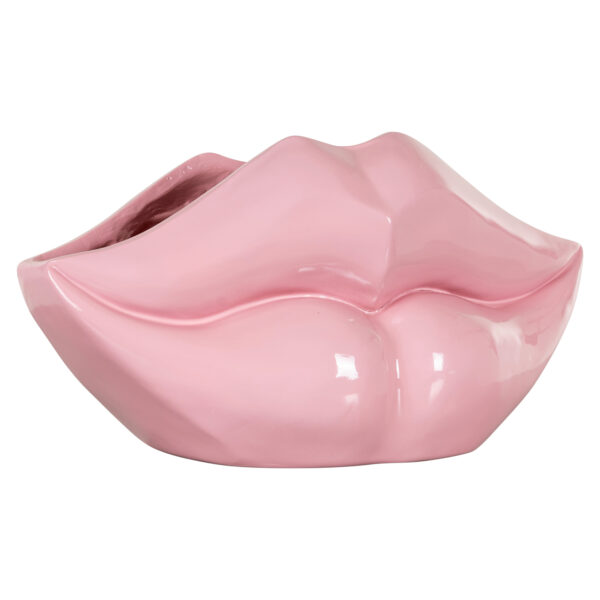 Vaas Lippo pink